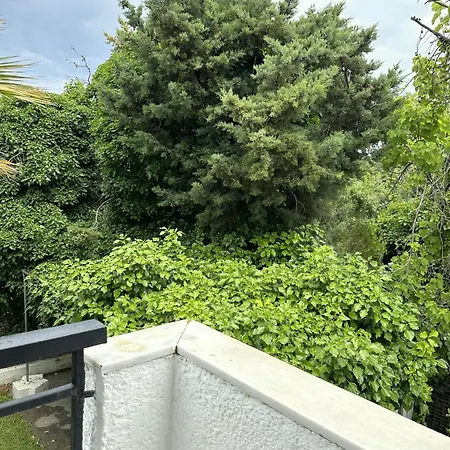 Sophies Olive Haven Possidi Exterior photo