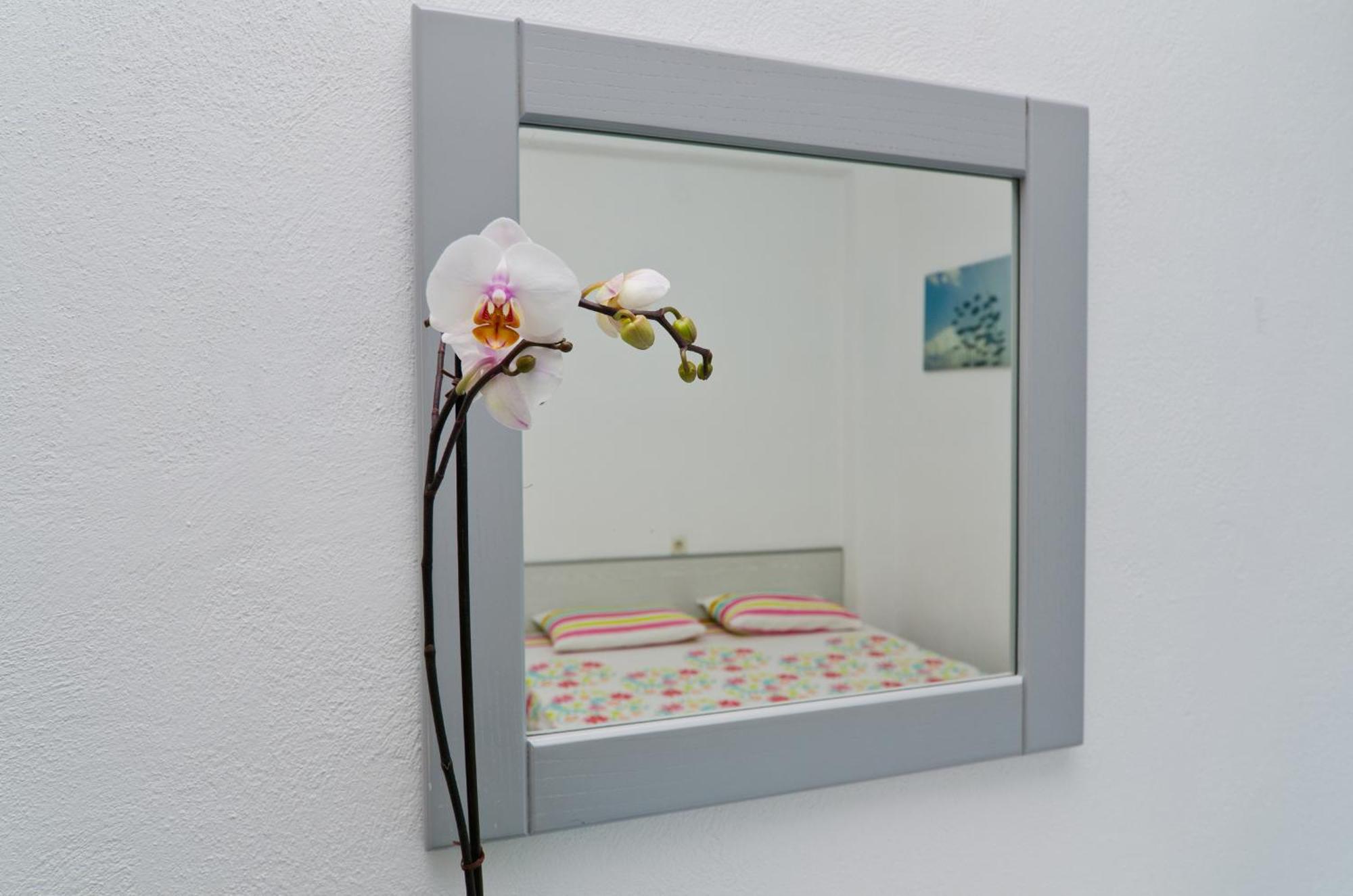 Apartment Sophies Olive Haven