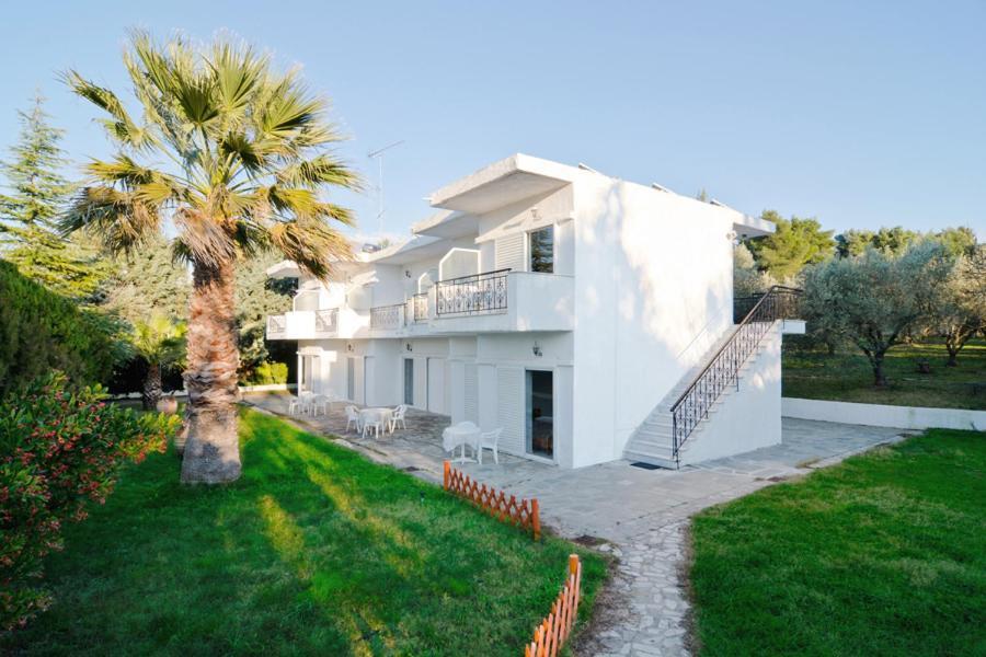 Sophies Olive Haven Possidi