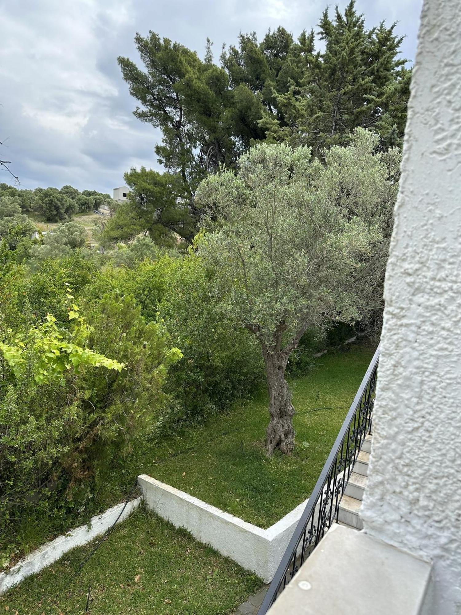 Sophies Olive Haven Apartment
