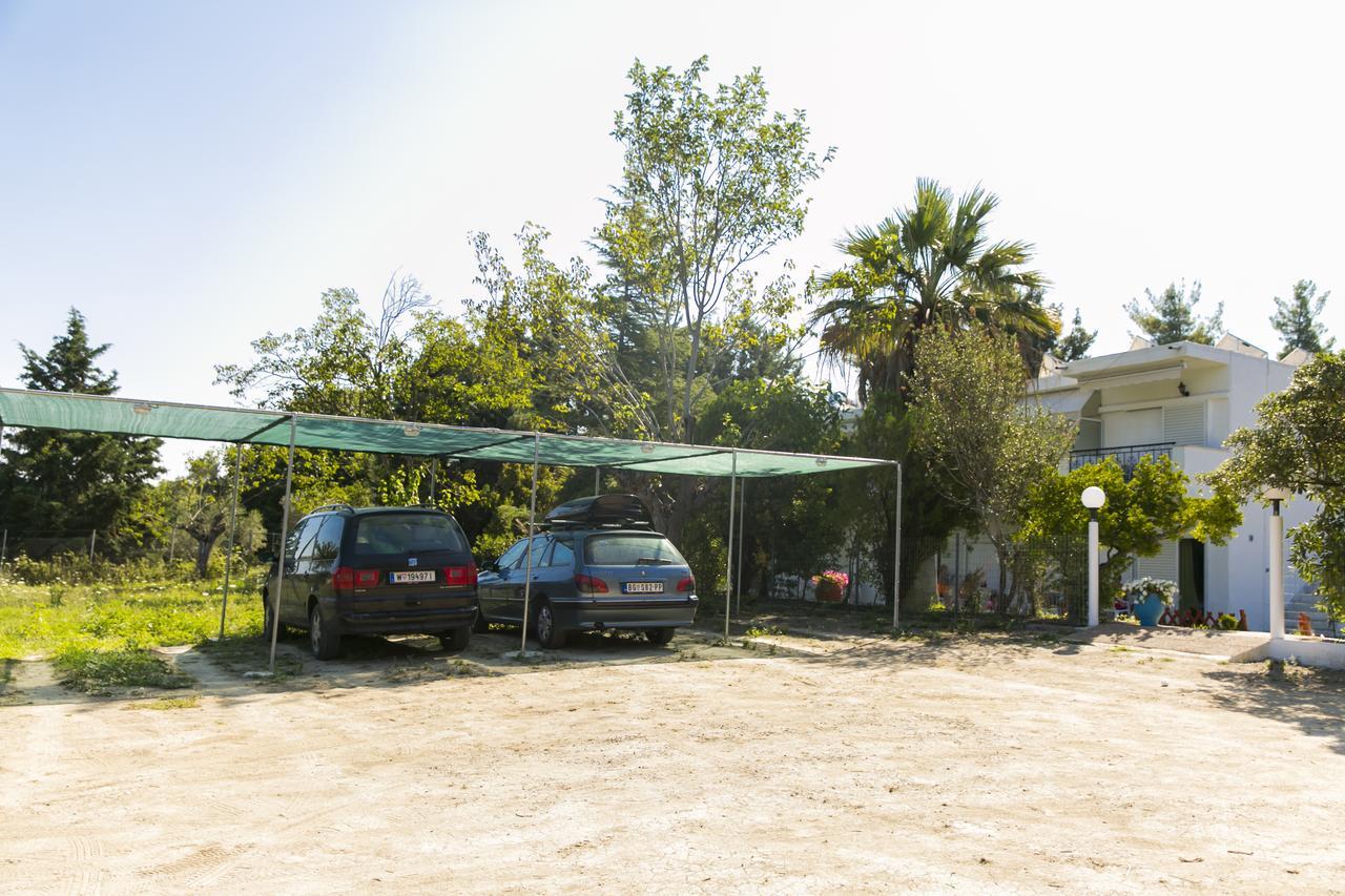 Sophies Olive Haven