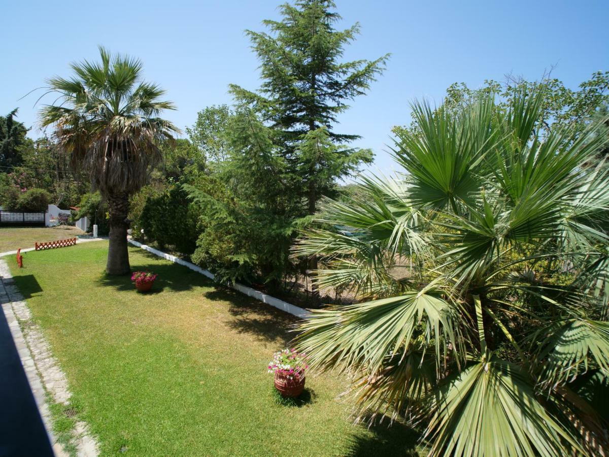 Apartment Sophies Olive Haven Possidi